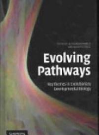 Minelli - Evolving Pathways