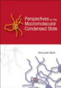 Perspectives on the Macromolecular Condensed State