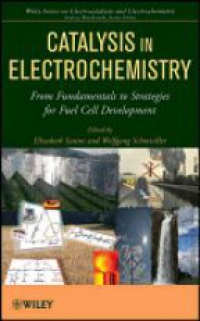 Elizabeth Santos - Catalysis in Electrochemistry