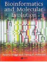 Higgs P. G. - Bioinformatics and Molecular Evolution