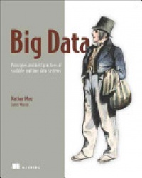Marz N. - Big Data: Principles and best practices of scalable real-time data systems