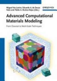 Miguel Vaz Junior - Advanced Computational Materials Modeling