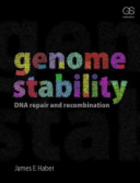 Haber J. - Genome Stability: DNA Repair and Recombination