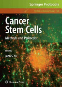 Yu J. - Cancer Stem Cells