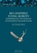 Bio-Inspired Flying Robots