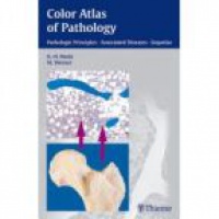 Riede U. - Color Atlas of Pathlogy: Pathologic Principlpes Associated Diseases Sequelae