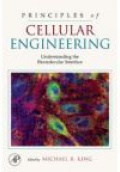 Principles of Cellular Engineering: Understanding the Biomolecular Interface