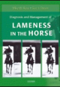 Diagnosis and Management of Lameness in the Horse