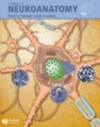 Patestas M. - A Textbook of Neuroanatomy