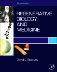 David L. Stocum - Regenerative Biology and Medicine