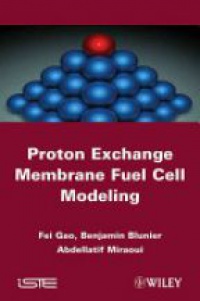 Fengge Gao,Benjamin Blunier,Abdellatif Miraoui - Proton Exchange Membrane Fuel Cells Modeling