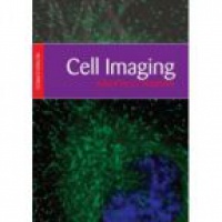 Stephnes - Cell Imaging