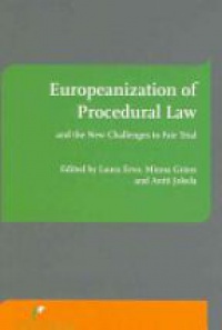 Ervo L. - Europenization of Procedural Law