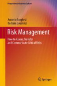Borghesi - Risk Management