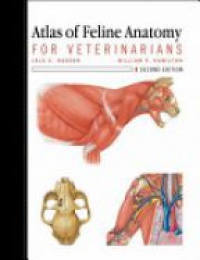 Hudson - Atlas of Feline Anatomy for Veterinarians 2e