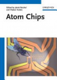 Jakob Reichel - Atom Chips