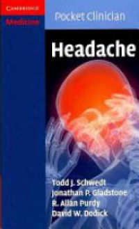 Schwedt T. - Headache