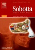 Sobotta Atlas of Human Anatomy, Vol.1: Head, Neck, Upper Limb