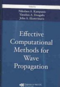 Nikolaos A. Kampanis,Vassilios Dougalis,John A. Ekaterinaris - Effective Computational Methods for Wave Propagation