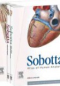 Sobotta Atlas of Human Anatomy, Package: English/Latin, Musculoskeletal system, internal organs, head, neck, neuroanatomy - with online access