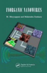 M. Meyyappan,Mahendra K. Sunkara - Inorganic Nanowires: Applications, Properties, and Characterization