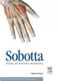 Paulsen, Friedrich - Sobotta Atlas of Human Anatomy, Package: English, Musculoskeletal system, internal organs, head, neck, neuroanatomy