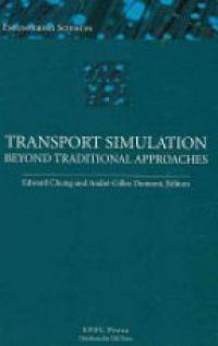 Chung E. - Transport Simulation Beyond Traditional Approaches