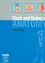The Flesh and Bones of Anatomy