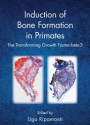 Induction of Bone Formation in Primates: The Transforming Growth Factor-beta 3