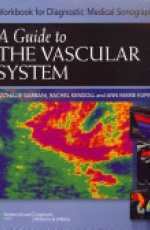 Guide to The Vascular System (Workbook) (Diagnostic Medical Sonography Series)